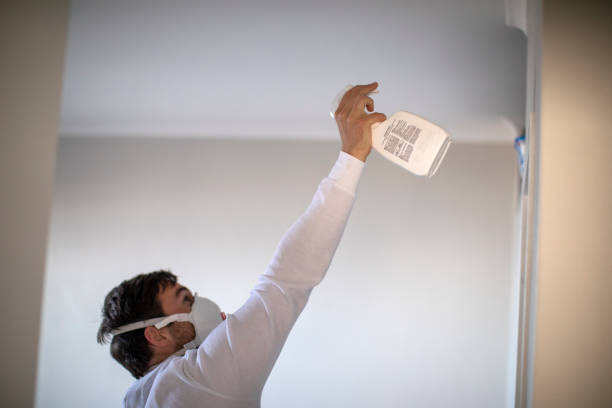 Best Black Mold Removal  in Lewistown, PA