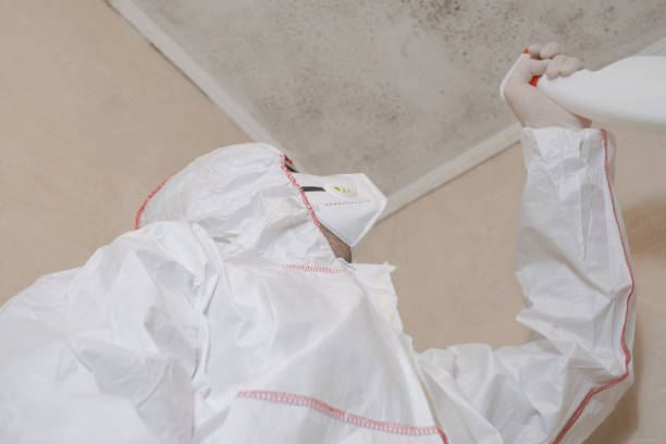 Best Mold Damage Repair  in Lewistown, PA